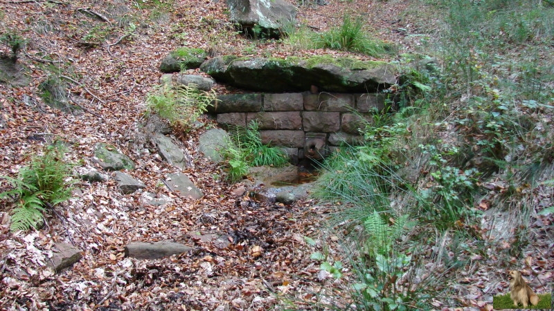 Ritterstein Nr. 134-9 Balkenbrunnen.JPG - Ritterstein Nr.134  Balkenbrunnen 160 Schr.                               